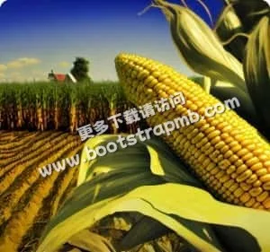 安全、公平、专业，尽在旺财28 - 旺财28